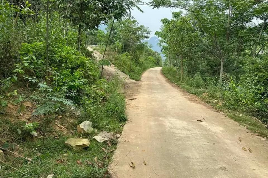 Chỉ 999 triệu đồng lô đất trục chính Quỳnh Phú, Gia Bình-01