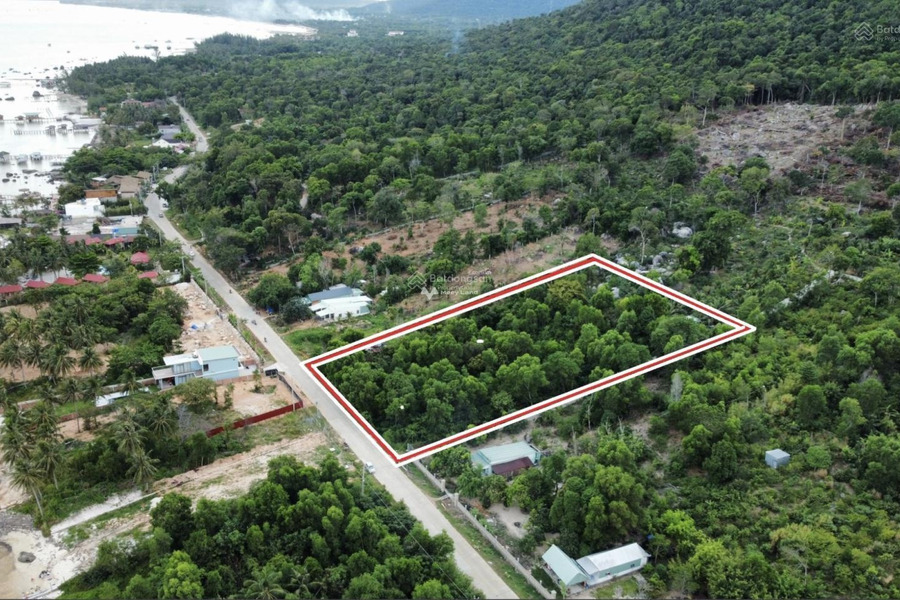 Khoảng từ 41 tỷ bán đất diện tích rất rộng 5235m2 vị trí đặt ngay trung tâm Hàm Ninh, Phú Quốc-01