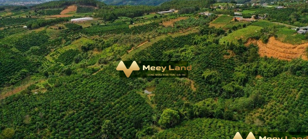 Bán đất 412 triệu Xã Tà Nung, Tỉnh Lâm Đồng với dt khoảng 520 m2