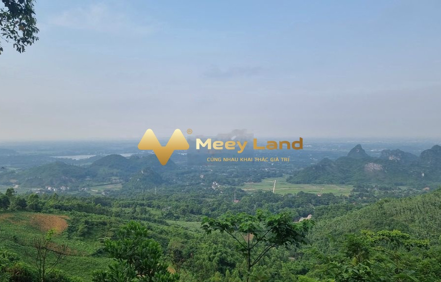 Vị trí thuận lợi ở Đường Quốc Lộ 6, Huyện Lương Sơn bán đất, giá bán rẻ chỉ 31.5 tỷ có dt thực là 24000 m2-01