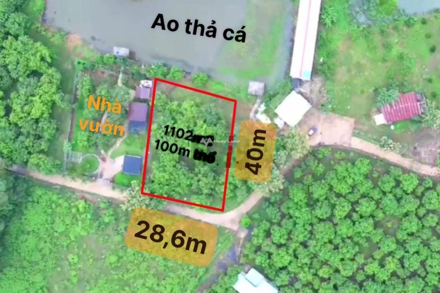Bán đất La Ngà, Định Quán giá 1,79 tỷ, diện tích 1025m2-01