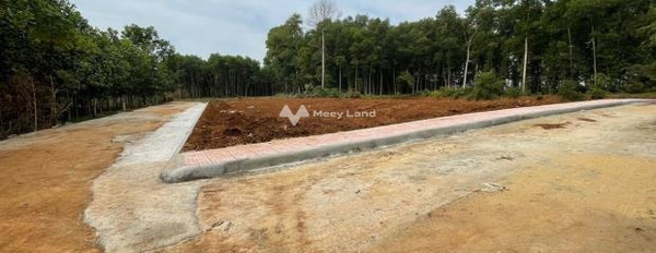 Công Liêm, Nông Cống bán đất giá ngạc nhiên chỉ 350 triệu diện tích đúng với trên ảnh 230m2-02