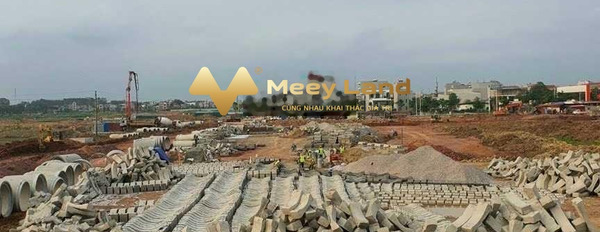 Tại Rùa Vàng City bán đất dt sàn là 70 m2 vị trí tiện lợi Thị Trấn Vôi, Bắc Giang-02