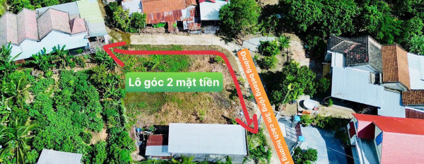 Bán đất Diên Thọ gần Hương lộ 62 rộng rãi làm nhà vườn-02