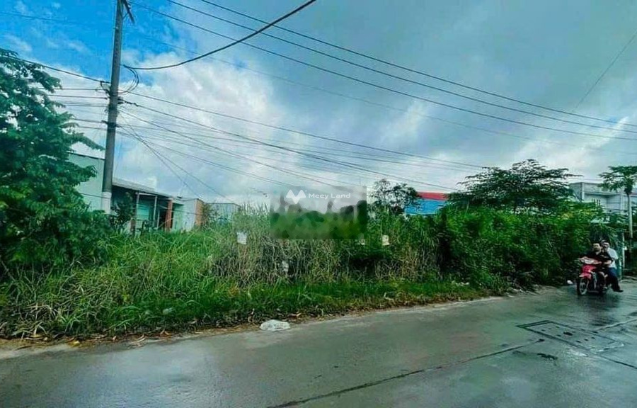 Bán đất đường Thanh Niên, Xuân Thới Sơn, cách Quốc lộ 22 chỉ 800m-01