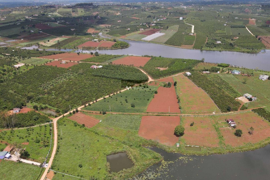 Giá rẻ 2.26 tỷ bán đất có diện tích sàn 1023m2 vị trí cực kì thuận lợi ngay tại Tỉnh Lộ 725, Lâm Hà-01