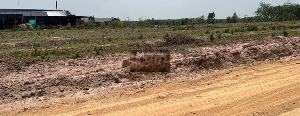 Bán mảnh đất giá 290 triệu diện tích 200m2 ở Tân Châu, Tây Ninh-02