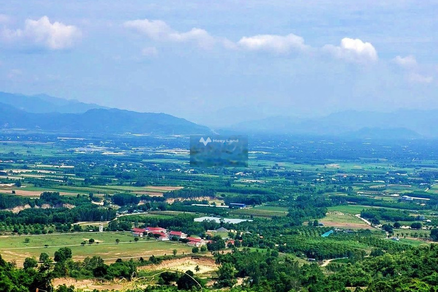 Vị trí ngay trên Cam Thành Nam, Cam Ranh bán đất, giá bán siêu khủng chỉ 2.6 tỷ diện tích chính là 52000m2-01