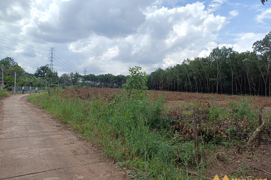 Bán đất nền thổ cư dự án Lộc Thịnh, Bình Phước, chính chủ-01