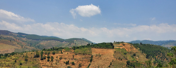 Bán gấp đất view đẹp tại Tà Nung, Đà Lạt, 1719m2, giá tốt 3,4 tỷ-02