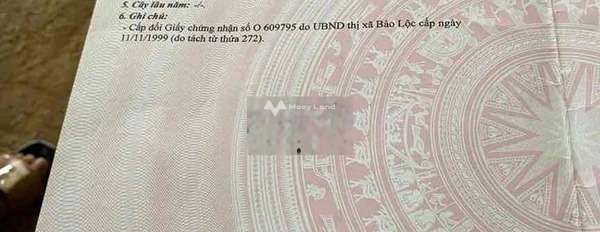 Vị trí đặt ngay trên Đạm Bri, Lâm Đồng bán đất, giá không trung gian 940 triệu Có tổng diện tích 3020m2-02