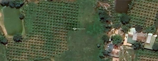 Giá 1.2 tỷ bán đất Diện tích nền 1413m2 vị trí đặt nằm trên Hàm Thuận Bắc, Bình Thuận-02