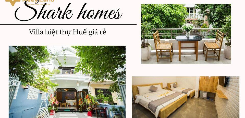 Cho thuê Shark homes – Villa Huế giá rẻ