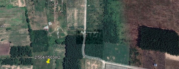 Giá bán thị trường chỉ 6.2 tỷ bán đất với diện tích thực 2503m2 Nằm ngay trên Nhơn Trạch, Đồng Nai-02