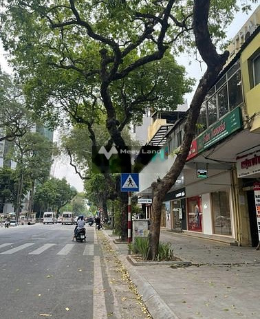 (HIẾM) Bán nhà KINH DOANH mặt phố siêu VIP HÀNG BÀI - Hoàn Kiếm, 115m2 