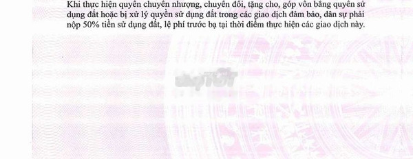 Bán nhà vị trí thuận lợi ngay Đào Hữu Cảnh, Châu Phú bán ngay với giá cực tốt chỉ 635 triệu có diện tích gồm 80m2-03