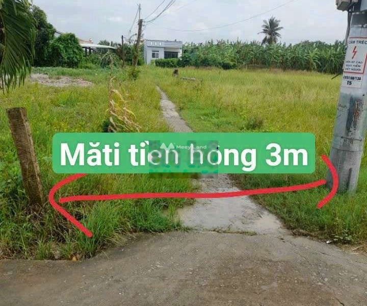 Giá bán bất ngờ 420 triệu bán đất toàn bộ khu vực có diện tích 140m2 vị trí phát triển Thanh Phú Long, Châu Thành-01