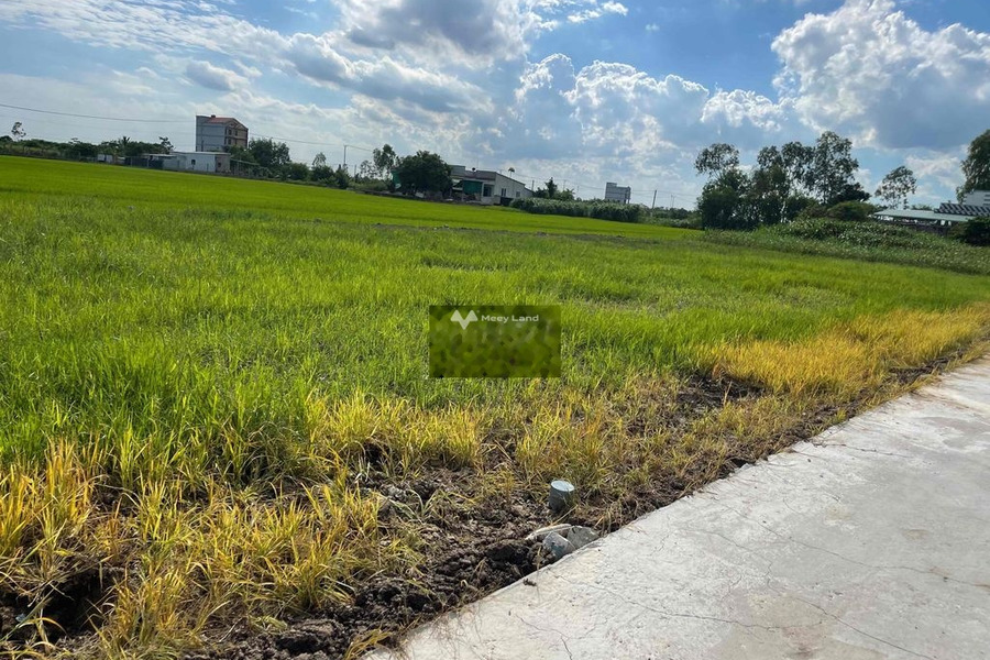 290 triệu bán đất có diện tích quy ước 145m2 vị trí thuận lợi tọa lạc ngay tại Gò Công Tây, Tiền Giang-01