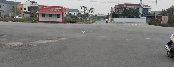 Bán đất tại Bắc Sông Cấm, Thuỷ Nguyên. Diện tích 1065m2-03