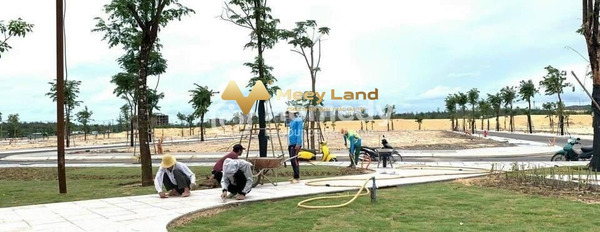 600 triệu bán đất dt tầm trung 80 m2 vị trí thuận lợi tọa lạc tại Xã Nhơn Hội, Quy Nhơn-03