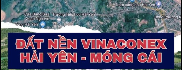 Suất đầu tư dự án Vinaconex Móng Cái-02