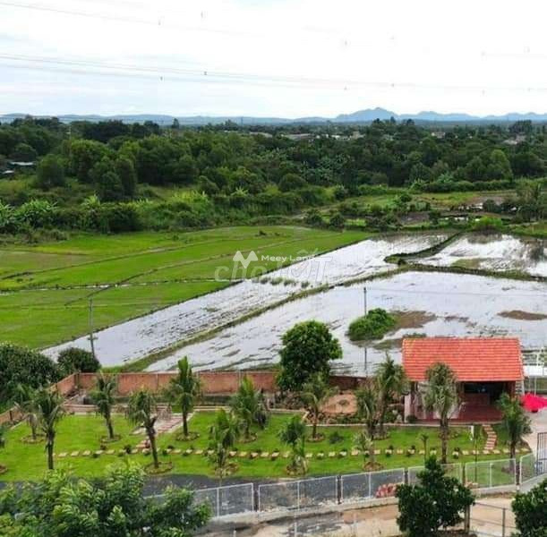 Giá cơ bản chỉ 75 triệu bán đất có diện tích chuẩn 600m2 vị trí đẹp nằm ngay Buôn Ma Thuột, Đắk Lắk, hướng Đông Nam-01