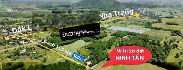 Trong Ninh Tân, Khánh Hòa bán đất giá bán khoảng 230 triệu diện tích vừa phải 100m2-02