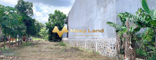 1.38 tỷ bán đất có dt thực 250 m2 vị trí mặt tiền tọa lạc ngay ở Đường Nguyễn Trường Tộ, Tỉnh Đắk Lắk-03