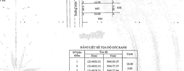 Cần ra đi gấp bán đất Củ Chi, Hồ Chí Minh giá sang tên chỉ 1.14 tỷ có diện tích quy ước 80m2-03