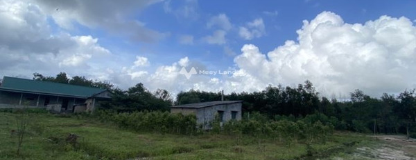 Phong Điền, Thừa Thiên Huế bán đất giá giao động chỉ 600 triệu, hướng Bắc có diện tích tiêu chuẩn 300m2-03