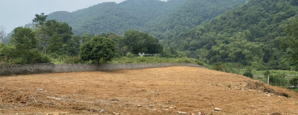 Bán đất tại Tiến Xuân, Thạch Thất. Diện tích 2000m2-02