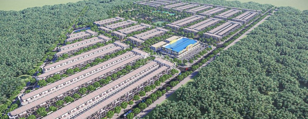 Vị trí mặt tiền tọa lạc ở Đức Linh, Bình Thuận bán đất, giá mua ngay 650 triệu với diện tích 110m2-02