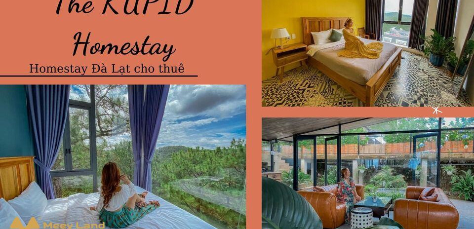 Cho thuê The KUPID Homestay Đà Lạt