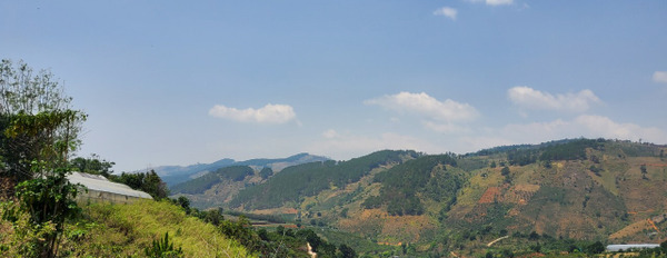 Bán gấp đất view đẹp tại Tà Nung, Đà Lạt, 1719m2, giá tốt 3,4 tỷ-03