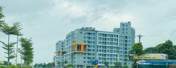 Chung cư 2 phòng ngủ, bán căn hộ hướng Tây - Nam vị trí đặt vị trí nằm ở Kim Chung, Hà Nội, trong căn hộ này gồm 2 PN, 1 WC cực kì tiềm năng-02