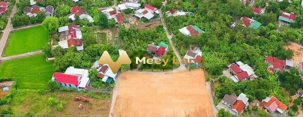 Giá mềm 820 triệu bán đất với dt khoảng 135 m2 tọa lạc ngay trên Đường Liên Xã, Xã Diên Bình-02