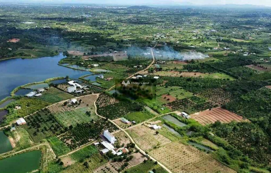 Vị trí đẹp ngay ở Ea Kar, Đắk Lắk bán đất giá đề xuất chỉ 250 triệu diện tích quy đổi 1000m2-01
