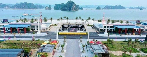 Nằm ngay Phương Đông bán đất 2.6 tỷ Đông Xá, Quảng Ninh có diện tích chung 87.5m2-03