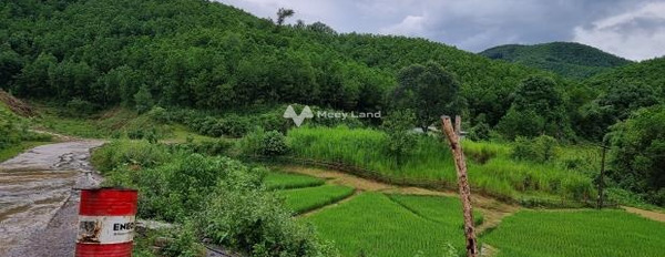 Giá bán thị trường 800 triệu, Bán đất với diện tích 850m2 vị trí đẹp ở Yên Thủy, Hòa Bình giá hợp lý-02
