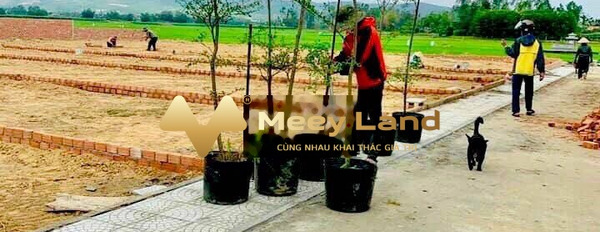 Vị trí đặt ở trung tâm Đường Quang Trung, Huyện Đại Lộc bán đất giá bán mua liền từ 500 triệu có dt trung bình 125 m2-02