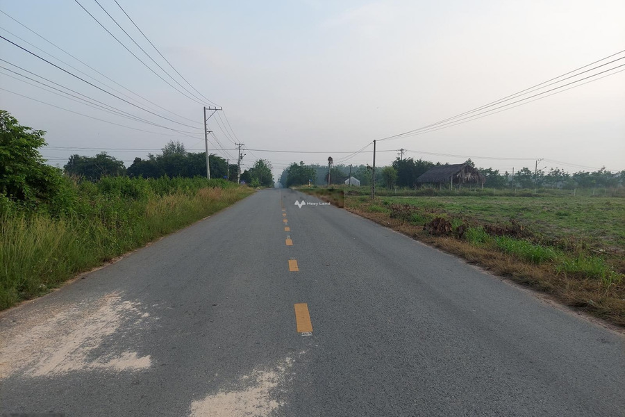 Ở Đường Dh619, Bàu Bàng bán đất 3.1 tỷ với diện tích khoảng 600m2-01