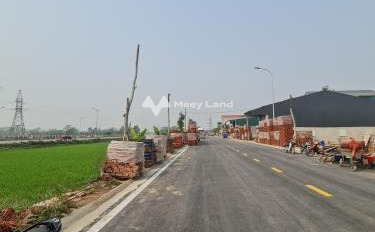 Bán đất Vĩnh Yên, Vĩnh Phúc diện tích 100m2-03