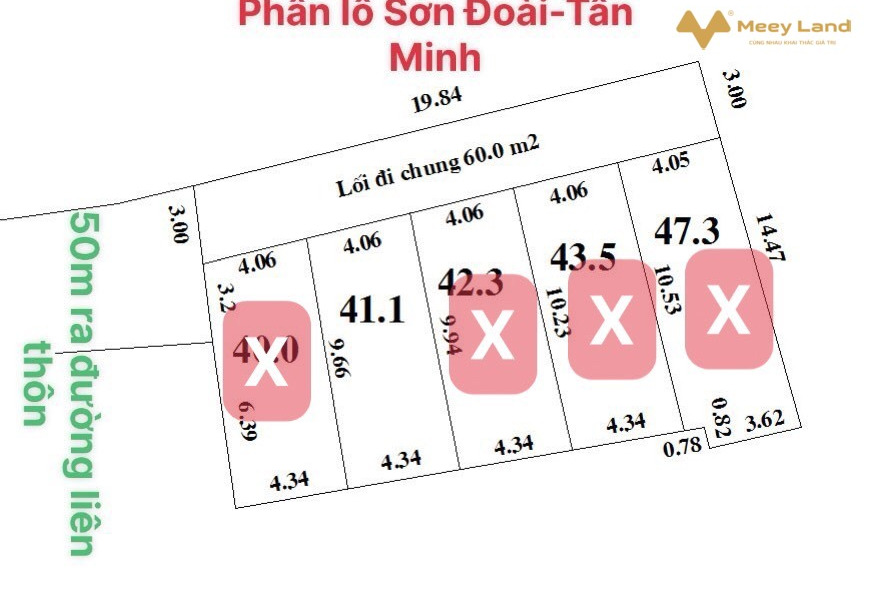 Chưa đến 500 triệu bạn sở hữu ngay lô đất đầu tưa cực đẹp tại Tân Minh, Sóc Sơn-01