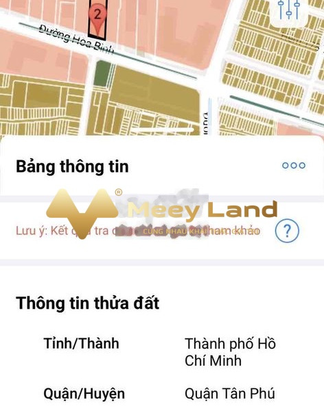 Bán đất giá 210 tỷ tại Hiệp Tân, Tân Phú, diện tích 2995m2-01