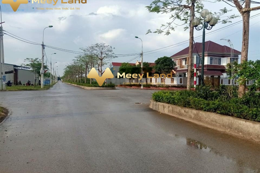 Bán đất 100m2 tại Sao Mai, Xuân Thịnh, hướng Đông Nam-01