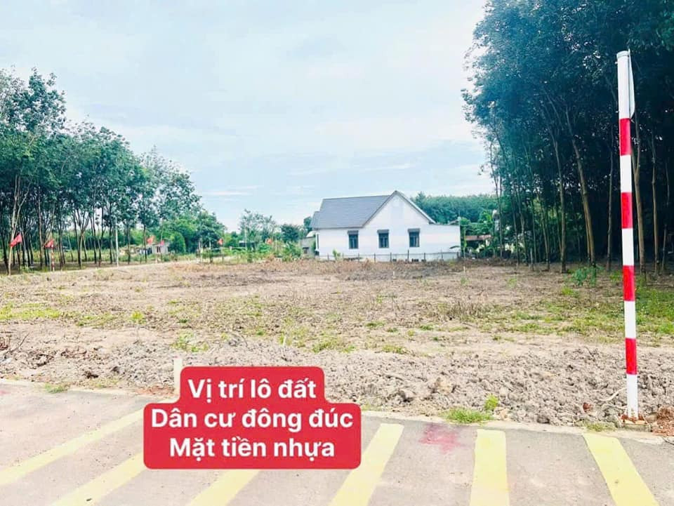 Bán đất huyện Phú Giáo tỉnh Bình Dương giá 495.0 triệu-1