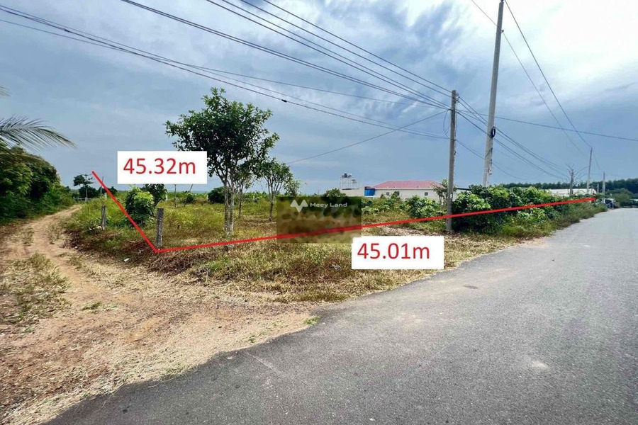 Thanh lý đất lớn 1.716m2 tại Huyện Xuyên Mộc, Tỉnh Bà Rịa Vũng Tàu -01