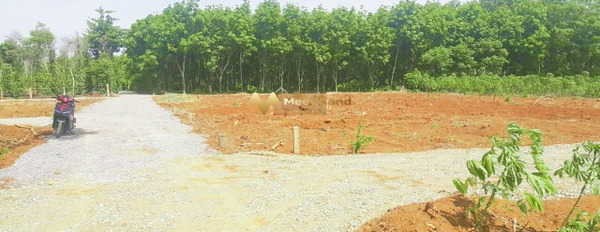 Bán đất tại Vĩnh Hòa, Quảng Trị. Diện tích 127m2, giá 298 triệu-03