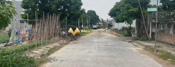 Bán lô đất cực đẹp giá tốt tại khu tái định cư Đồng Dứa-03