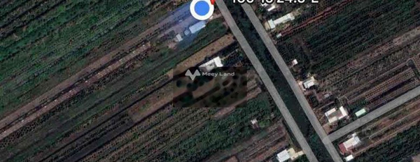 Ở Ấp 2, Tân Phước bán đất 5.4 tỷ có một diện tích 120000m2-02